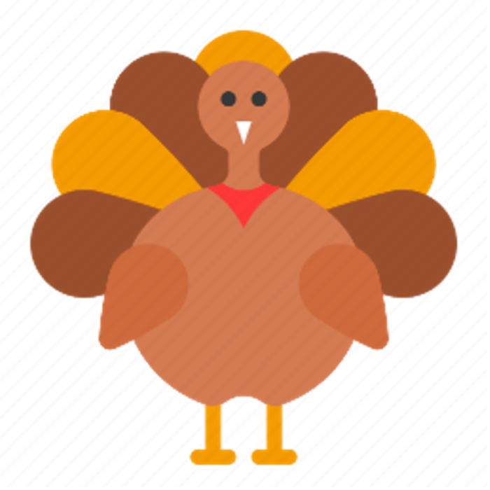 Thanksgiving Turkeys!